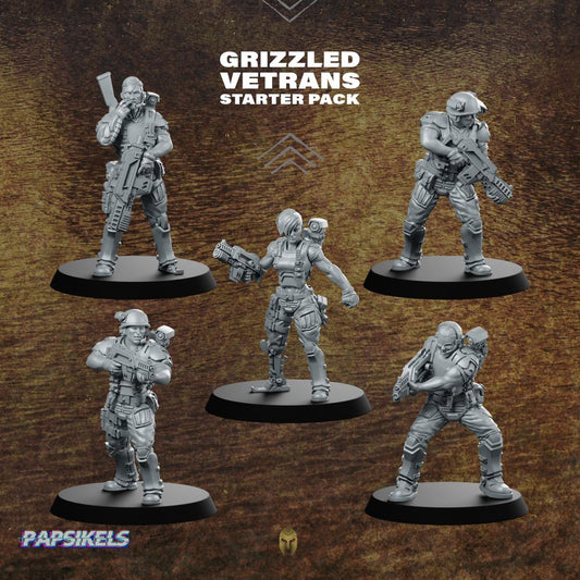 Grizzled Vetrans Miniature Starter Pack - Papsikels Miniatures - We Print Miniatures