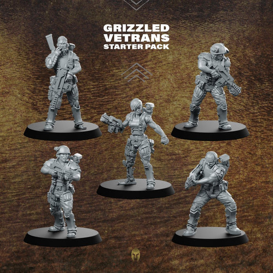 Grizzled Vetrans Miniature Starter Pack - Papsikels Miniatures - We Print Miniatures