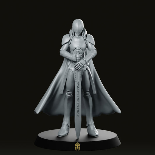 Knight Defender Of Mensab Miniature - We Print Miniatures