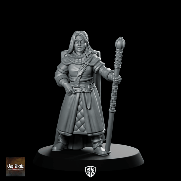 Lawful Hero Miniature Noble Paladin Staff Judge - Vae Victis - We Print Miniatures