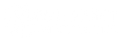 We Print Miniatures