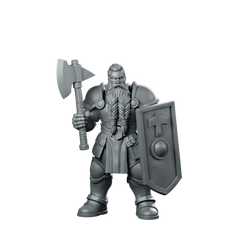 Male Dwarf Fighter With Tower Shield Miniature Miniature 360 Spin 01
