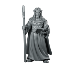 Male Elf Wizard With Staff And Miniature Miniature 360 Spin 01