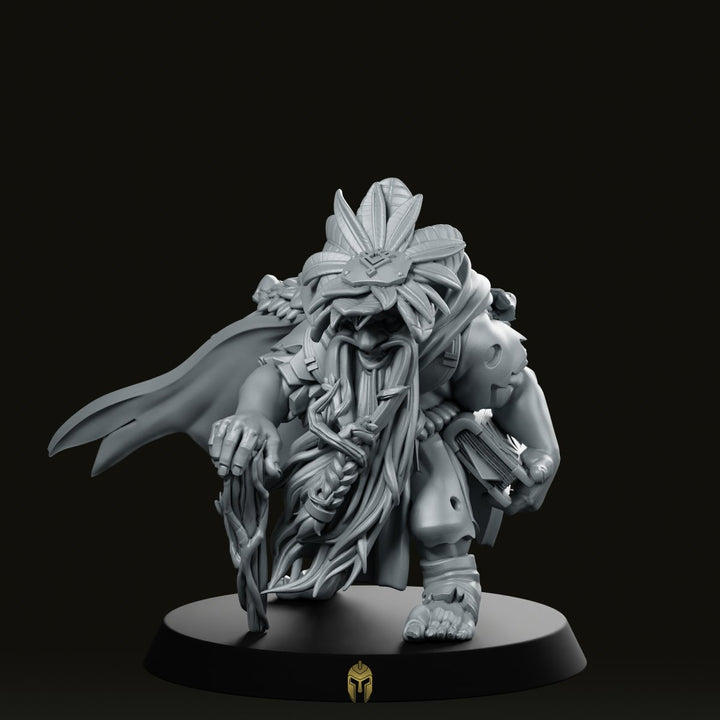 Male Herbalist Jaadoog Miniature Dwarf Alchemist D&D NPC
