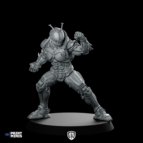 Masked Cyber Rider Tetsu Miniature Armoured Fighter