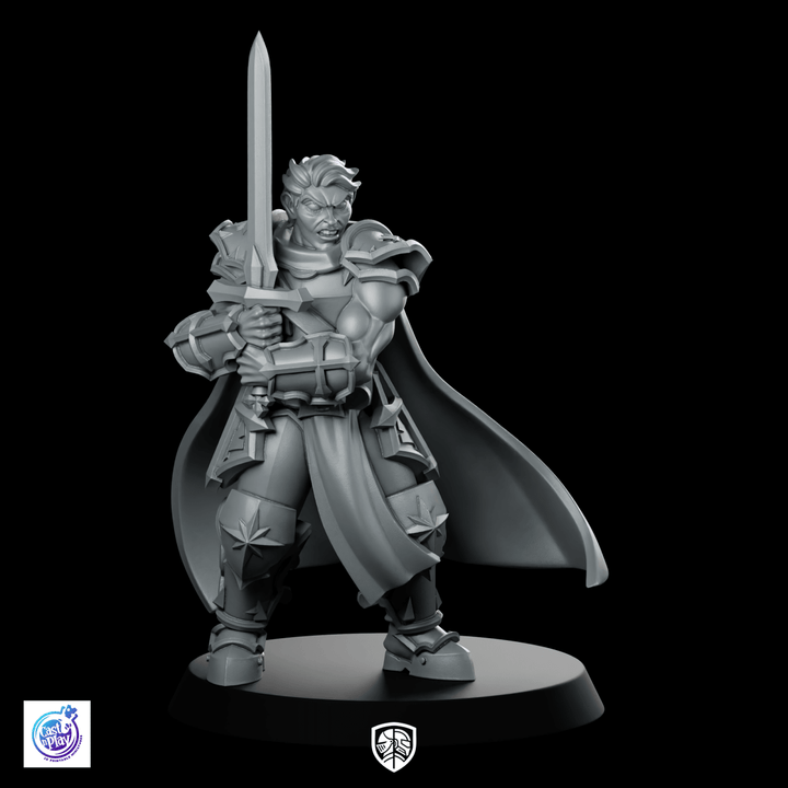 Paladin Stance Miniatura Campeón Héroe Acorazado con Espada