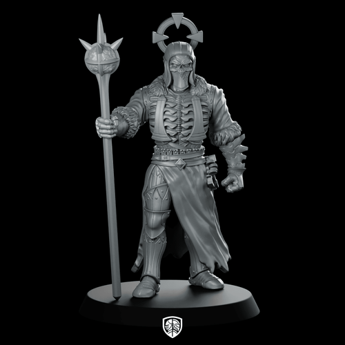 Anthiriel (Elven Deathpriest) Miniature Chaos Cultist - RN Estudio - We Print Miniatures