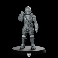 Democracy Troopers Hellraider A1 Trooper Salute
