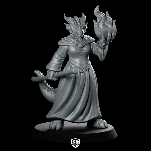Female Dragonborn Sorcerer With Flame And Miniature