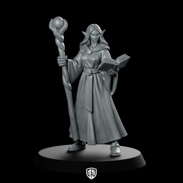 Female Elf Wizard With Staff And Miniature