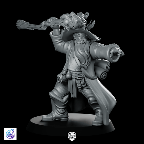 Hero Wizard D Miniature Wizard Buccaneer - CastNPlay - We Print Miniatures
