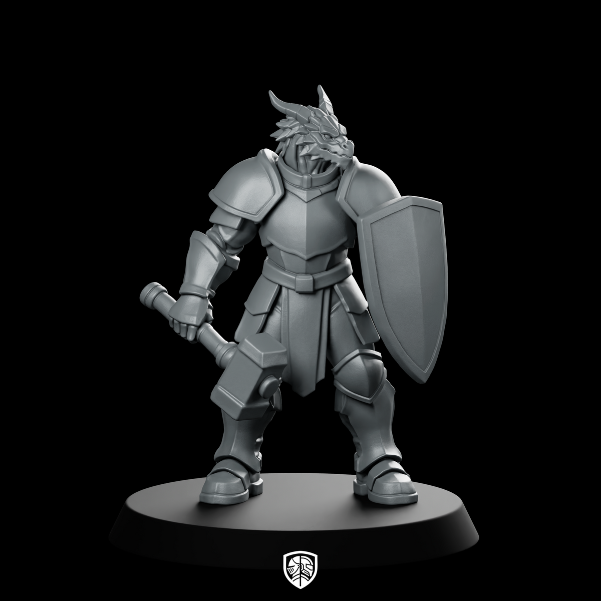 Male Dragonborn Paladin With And Shield Miniature