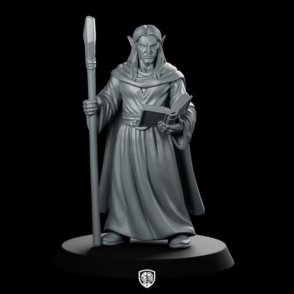 Male Elf Wizard With Staff And Miniature