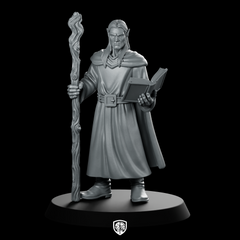 Male Elf Wizard With Staff And Miniature