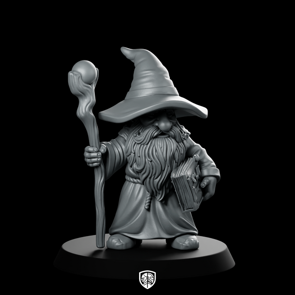 Male Gnome Wizard With Staff And Miniature