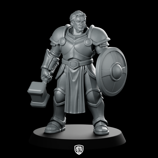 Male Human Paladin With And Shield Miniature