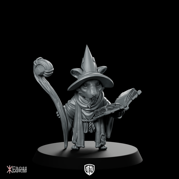 Wizard Mice Miniature Mouse Wizard