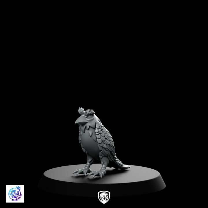 Rav Raven Bird Bare B Miniature Philosopher Companion