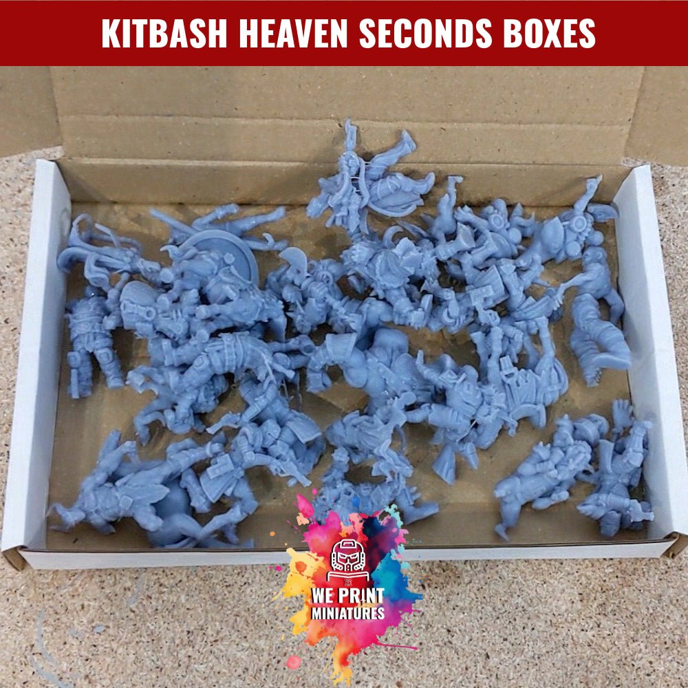 Resin Miniatures Seconds Box - all faulty or incomplete miniatures - We Print Miniatures - We Print Miniatures