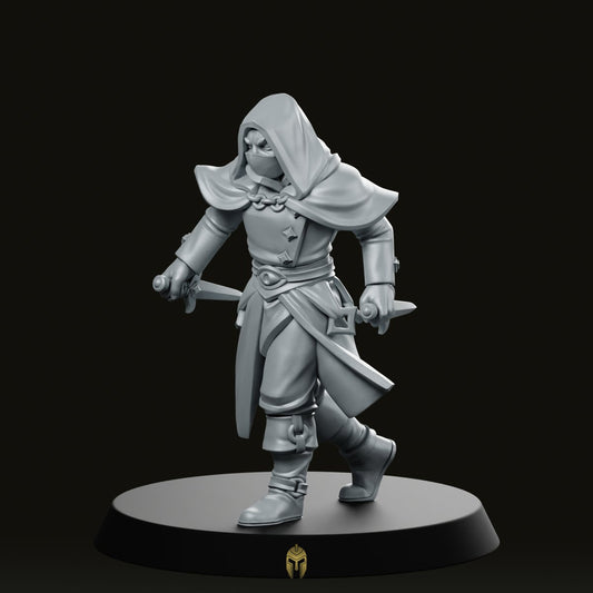 Rogue Miniature -Vae Victus Miniatures - We Print Miniatures