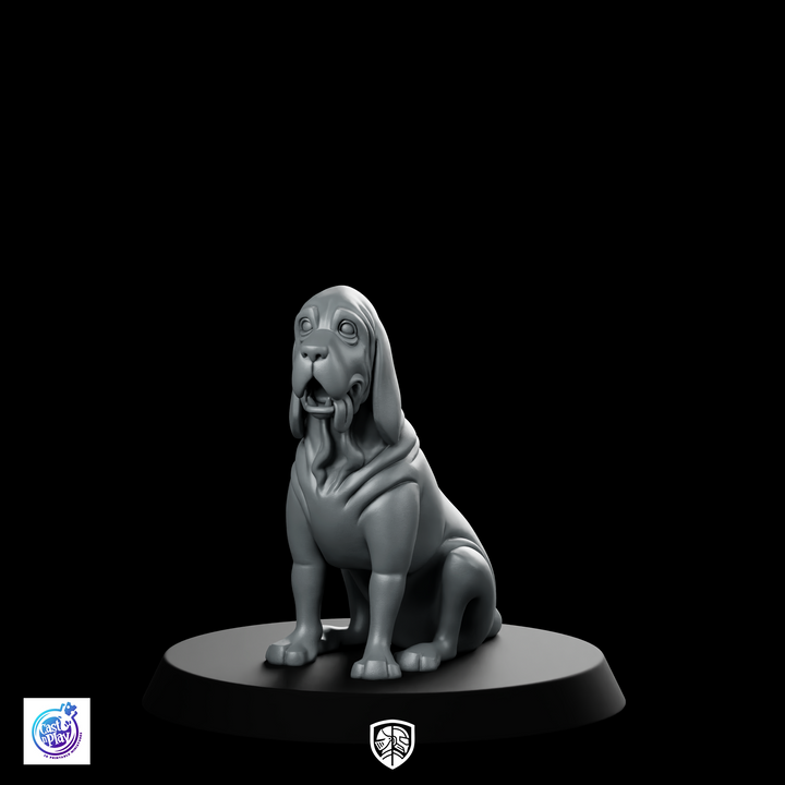 Sabus Bare A Miniature Loyal Hound Companion