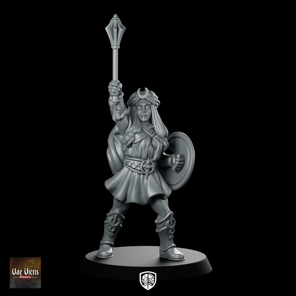 Selune Cleric Paladin Miniature Moon Priestess Stave Shield
