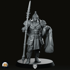 Sir Aglovale Alt Miniature - Haito - We Print Miniatures