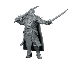 Sir Balyn Miniature Dual Sword Armored Knight - Haito - We Print Miniatures