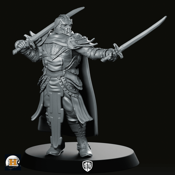 Sir Balyn Miniature - Haito - We Print Miniatures