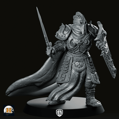 Sir Percival Miniature - Haito - We Print Miniatures