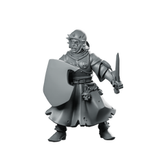 Swords For Hire Zealous Nun 10 Miniature Shieldmaiden Miniature 360 Spin 01