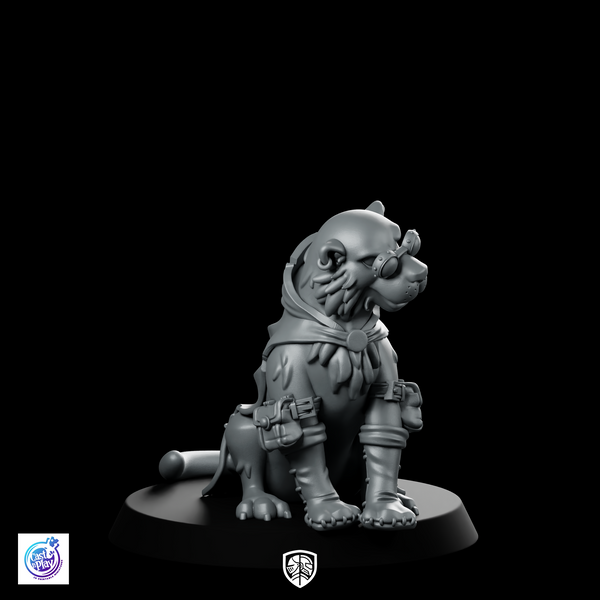 Tai Tiger Inventor A Miniature Cloaked Goggles