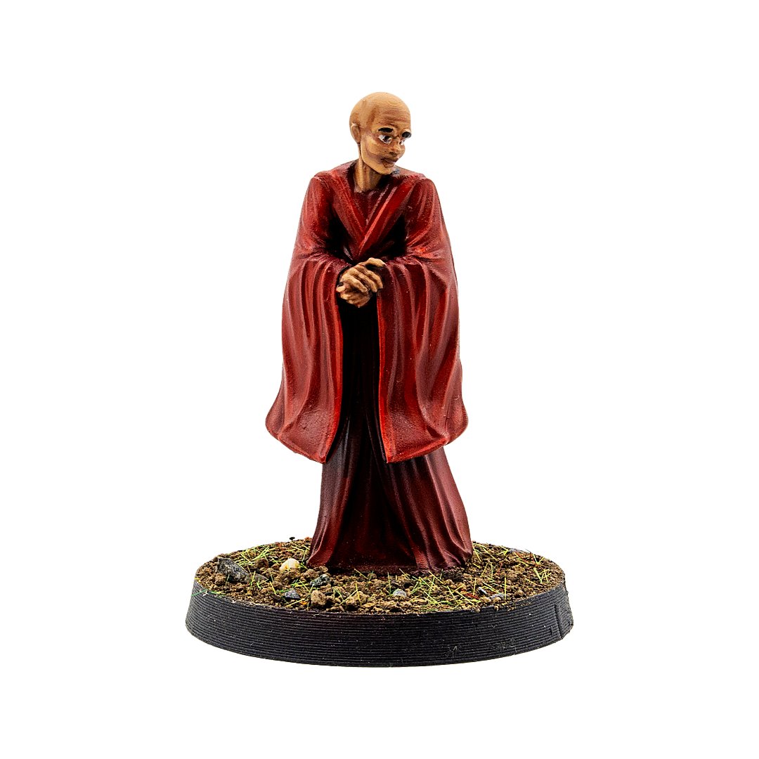 The Counsellor Fantasy Miniature - CastNPlay - We Print Miniatures