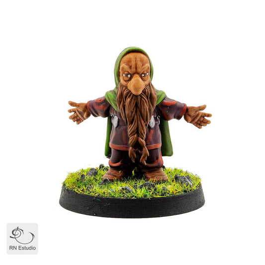 Thorin LOTR Miniature - RN Estudio - We Print Miniatures