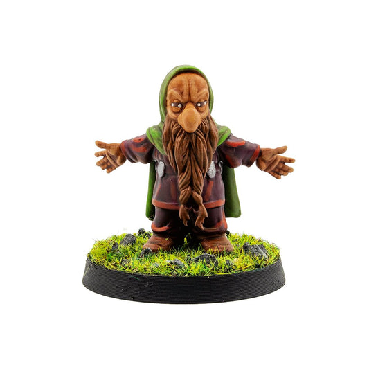 Thorin LOTR Miniature - RN Estudio - We Print Miniatures