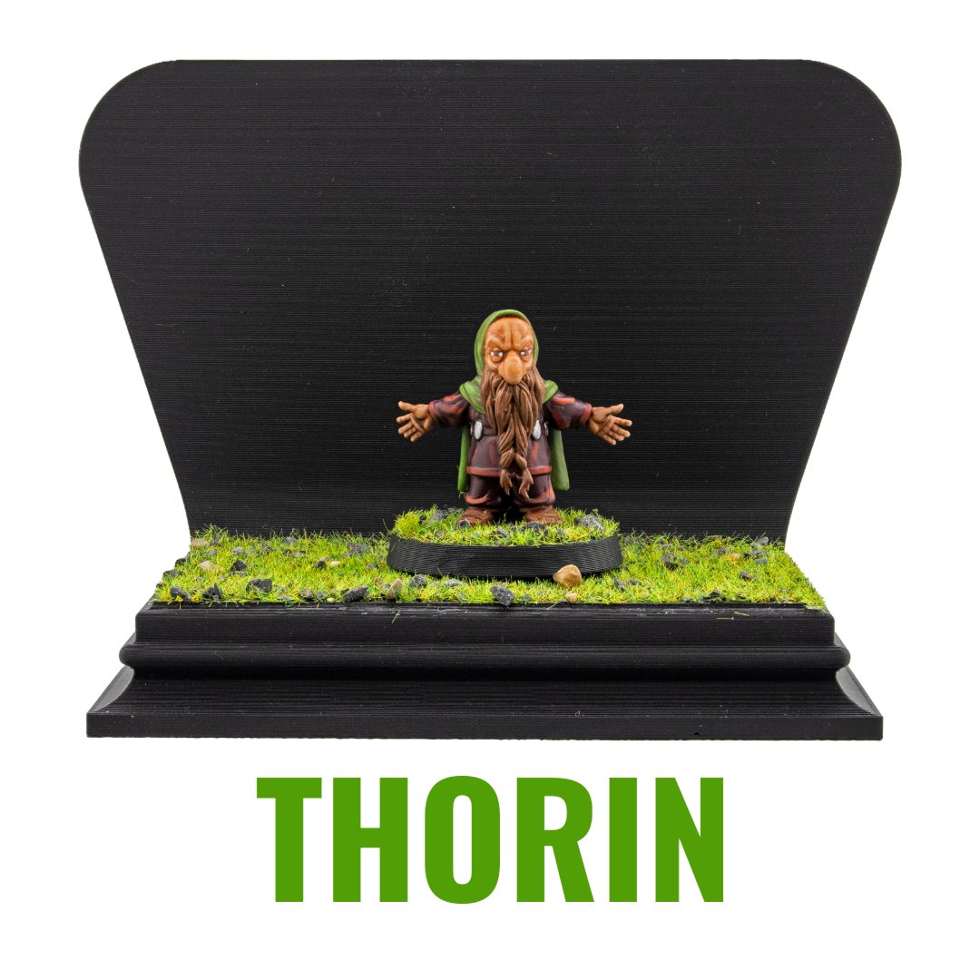 Thorin LOTR Miniature - RN Estudio - We Print Miniatures