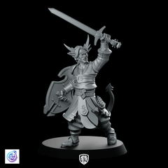 Tiefling Sword Fighter Miniature Horned Shielded Warrior - CastNPlay - We Print Miniatures