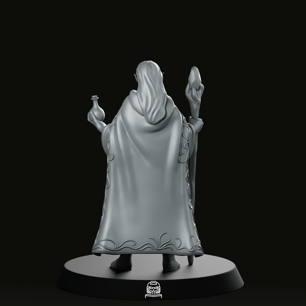 Vaessa Lirael Elf Miniature - We Print Miniatures - We Print Miniatures