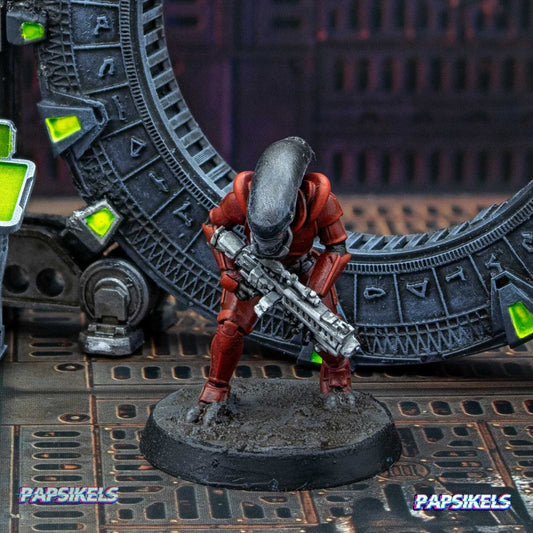 Xeno Trooper E Miniature - Papsikels Miniatures - We Print Miniatures