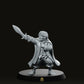 4 Heroes & 1 Villain D&D 28mm Miniatures Starter Pack - We Print Miniatures -RN EStudio