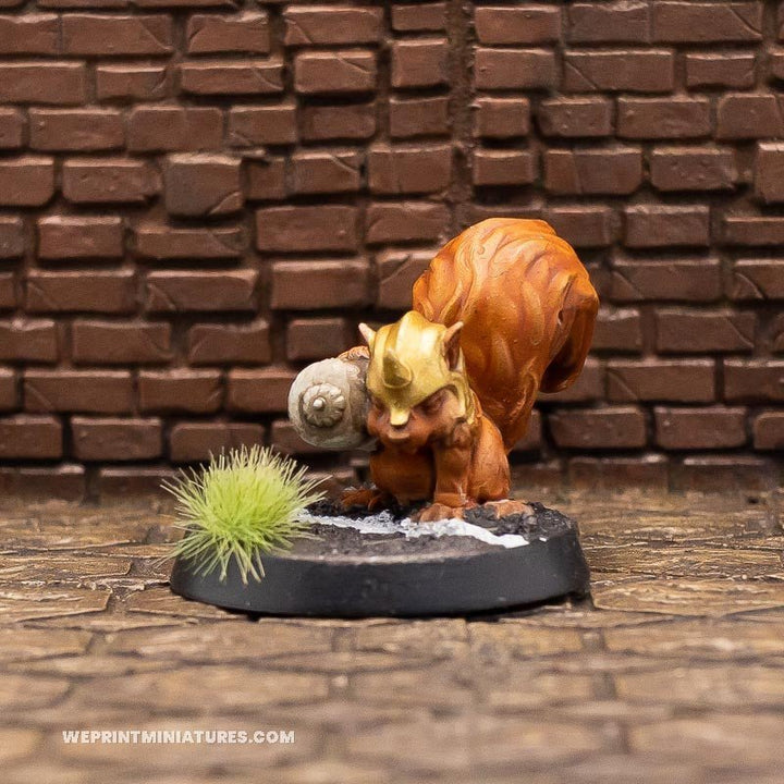 Akorne de eekhoorn miniatuur