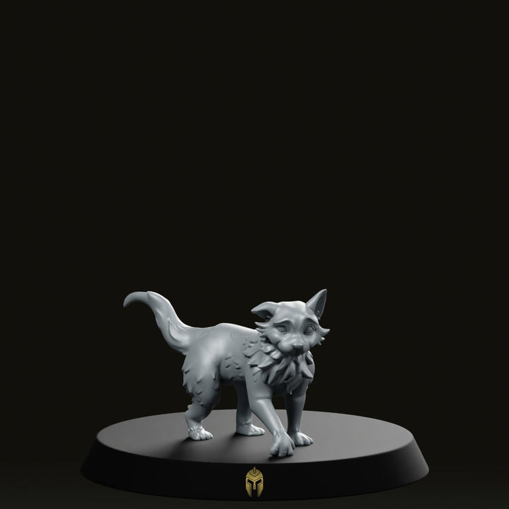 Bimba Bare A Pet Cat Miniatuur Elegant