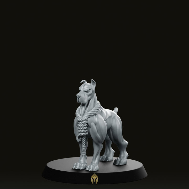 Companion Doberman 2 Dog Miniature Fierce Guard Hound