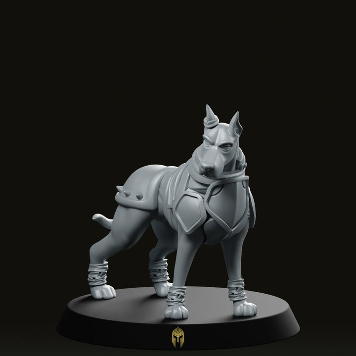 Dober Fighter A Miniatura Animale Cane da Guerra Corazzato