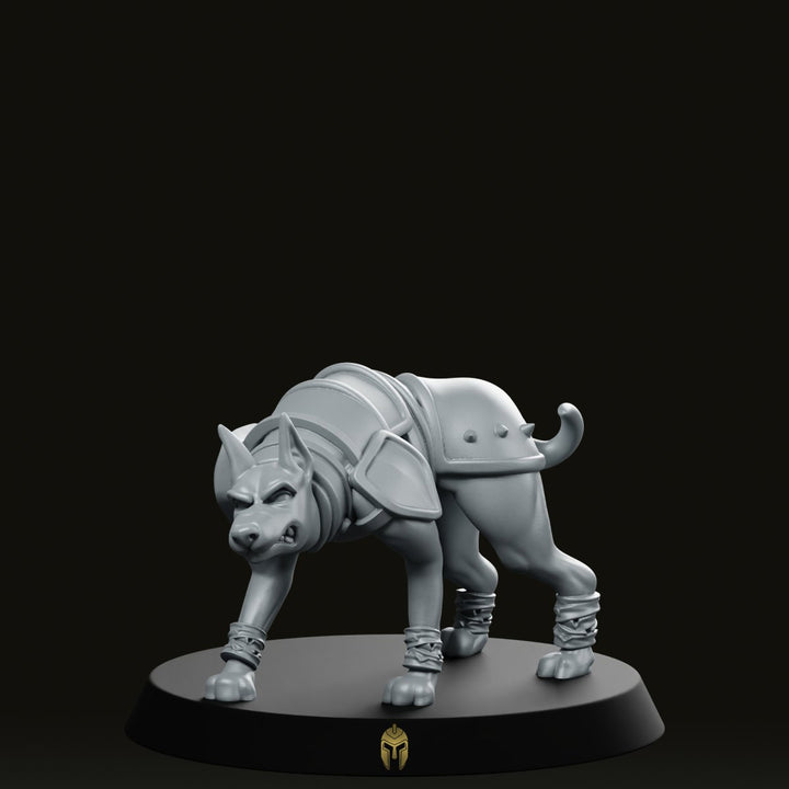 Dober Fighter B Huisdierhond Miniatuur Gepantserde Jachthond