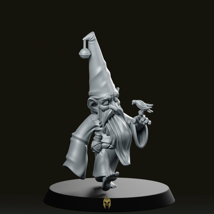 Garden Gnome Miniature Whimsical Bird Companion Fantasy RPG