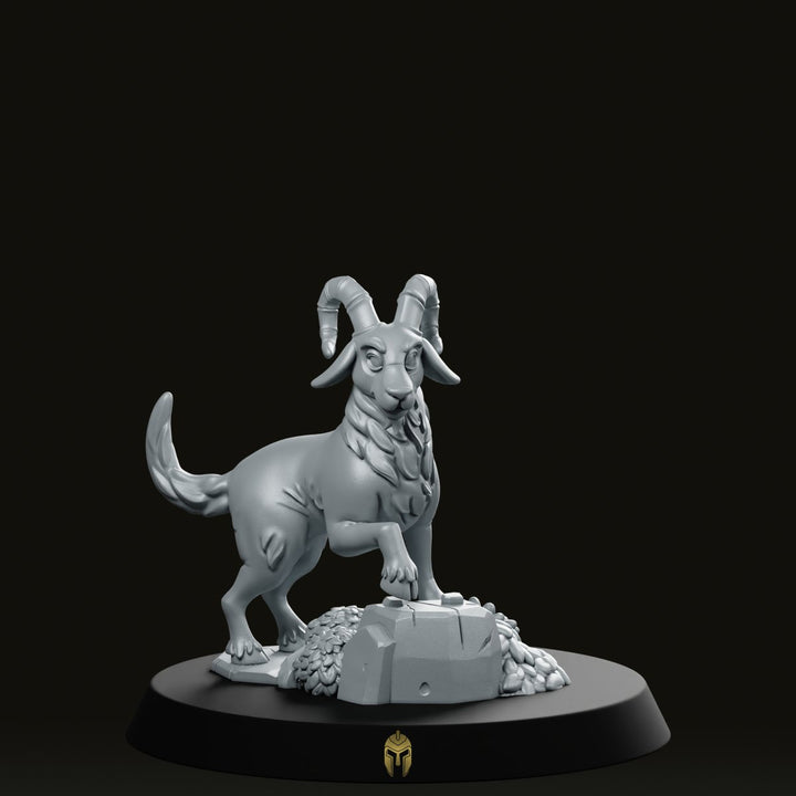Cabra Got Bare A Miniatura de Compañero con Cuernos