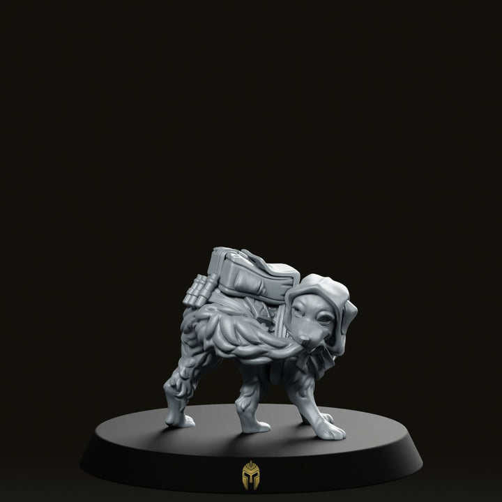 Gold Explorer A Pet Hound, figurine de chien en armure, compagnon animal