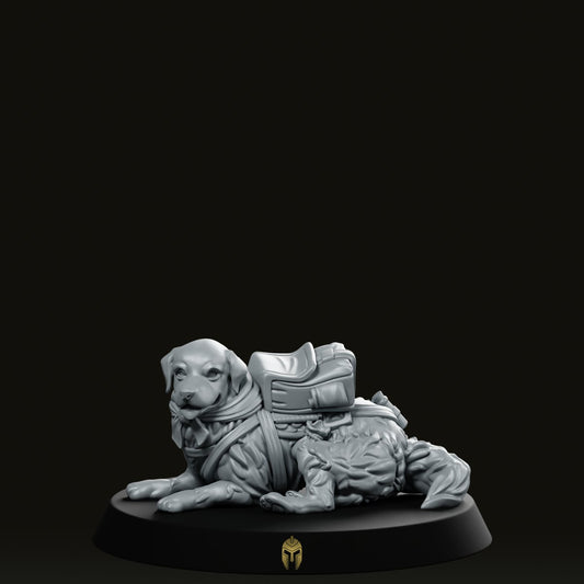 Gold Explorer B Dog Miniature - We Print Miniatures -CastNPlay