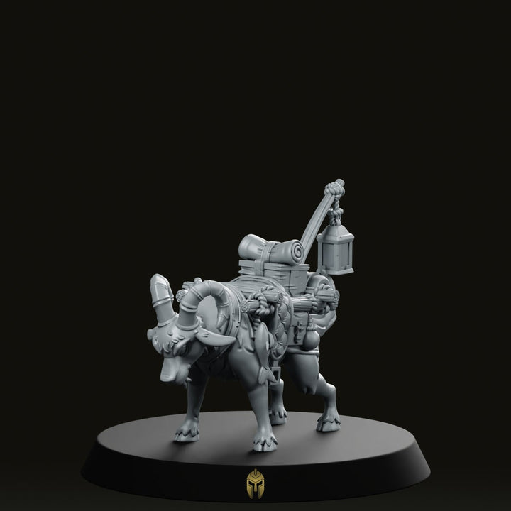 Got Explorer B huisdiergeit miniatuurpakket lantaarn